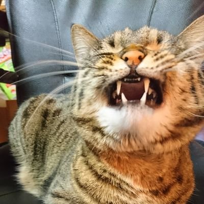とりあえずファボの精神。