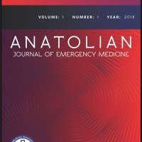 Anatolian Journal of Emergency Medicine (@anatolianjem) Twitter profile photo