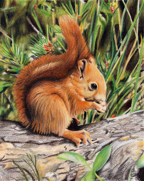 LimitedWildArt's profile picture. Accomplished Wildlife Artist & Missionary.  FAV. MEDIUM: Colored Pencil & Acrylics. FAV. SUBJECT: Big Cats / Original works, Open & Limited Edition prints.