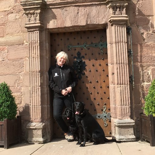 Lez Graham - Trained for Life and The Pet Gundogさんのプロフィール画像