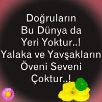 eysan (@eysan_talayhan) Twitter profile photo