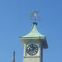 Friends of Peterborough Lido (@lido_friends) 's Twitter Profile