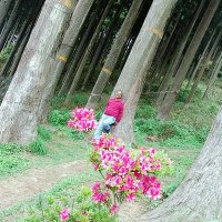 Viनय Miश्र 🚩🚩🚩🚩🇮🇳🇮🇳🇮🇳🇮🇳🇮🇳🇮🇳 (@vinaymishra1211) 's Twitter Profile Photo