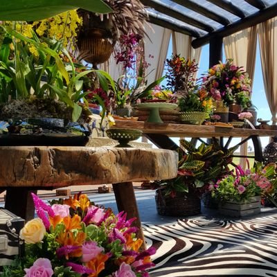 LuanaMazzei4's profile picture. Assessoria em Eventos