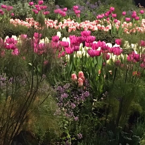 georgetheref's profile picture. 