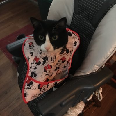 FontenovaG's profile picture. 