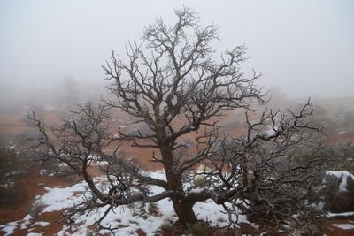 JazzyMa86023235's profile picture. 