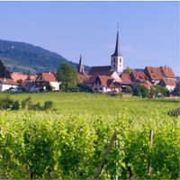 Mittelbergheim 2ème Village Préféré des Français (@jevotemittel) 's Twitter Profile Photo