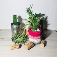 μλ¬Όμ ν¨νΈ (@botanischeskind) 's Twitter Profile Photo μλ¬Όμ ν¨νΈ (@botanischeskind) 's Twitter Profile Photo