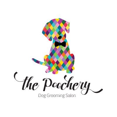 ThePoochery's profile picture. Making the world beautiful one dog at a time 🐶