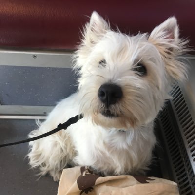 jenxlin13's profile picture. - 27