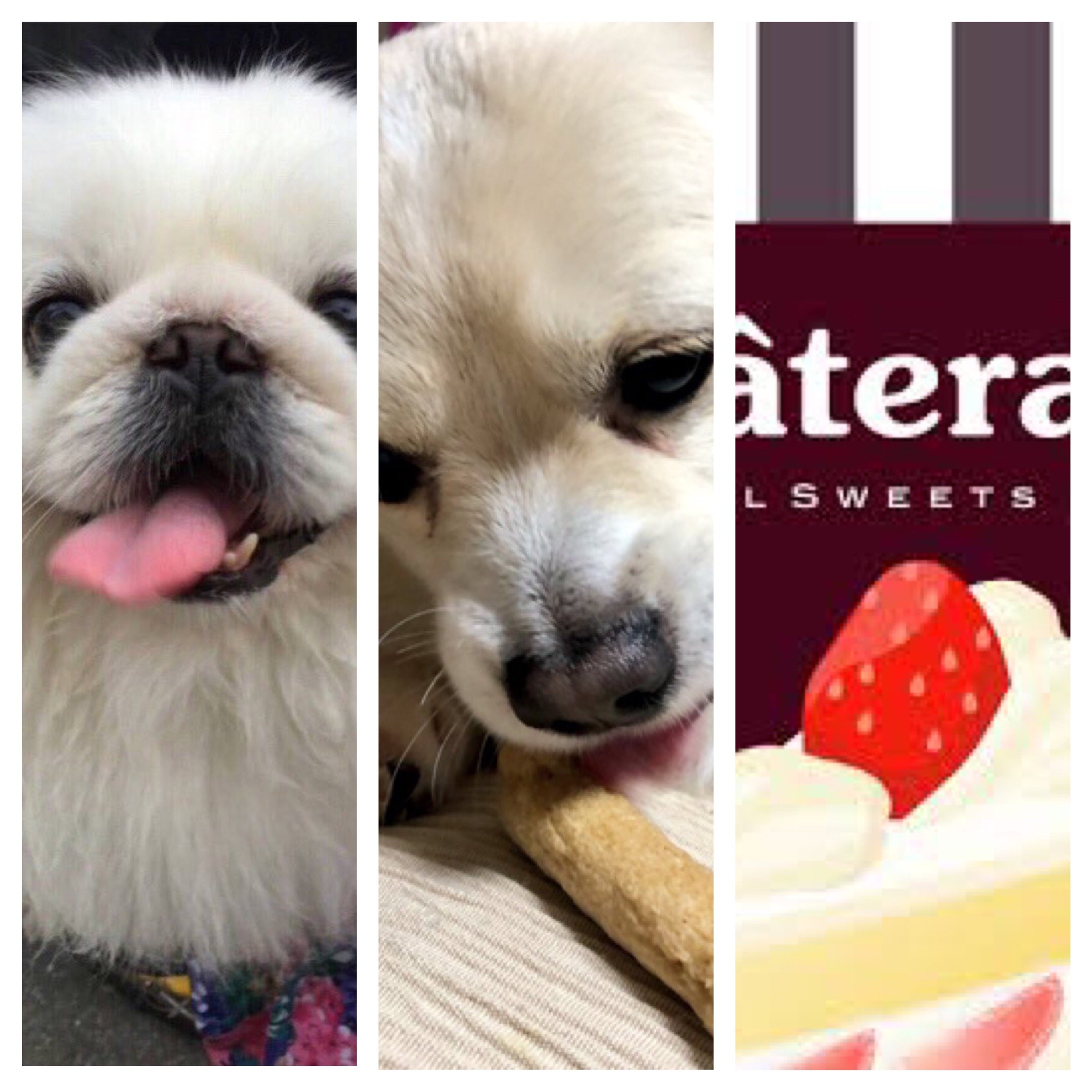 yuku_matu1224's profile picture. 人間 健康が一番 色々な事ができるのもこれがあってこそ。 生活の一部の歴代の愛車(バイク)達          現在2024年10月より長期入院中