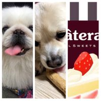 行-松ポップマン (@yuku_matu1224) 's Twitter Profile Photo 行-松ポップマン (@yuku_matu1224) 's Twitter Profile Photo