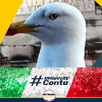 Damiano #IlMoVimentoSonoIO(@allenatorebis) 's Twitter Profile Photo