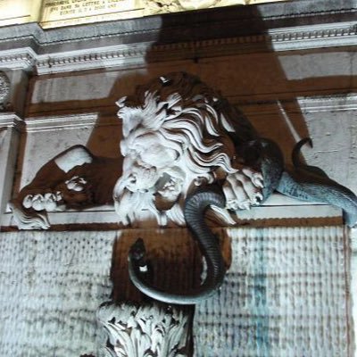 yosenak's profile picture. 