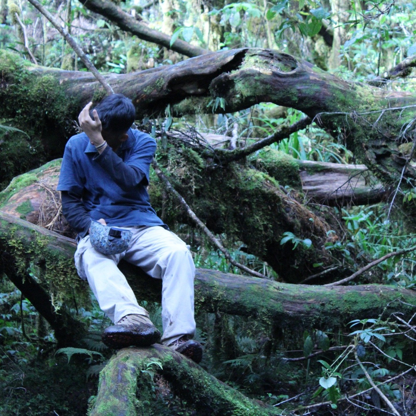 mancoslakon's profile picture. Ig : mcslkn
Dota 2 player