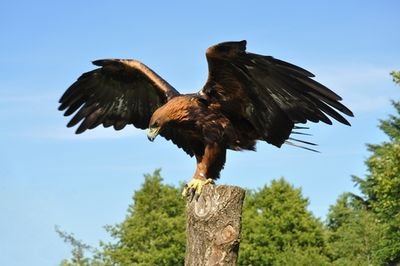 Ilinas1's profile picture. Nichts groß zu erzählen :)