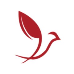 yourtravelsis's profile picture. Luxury Larks for Spirited Women