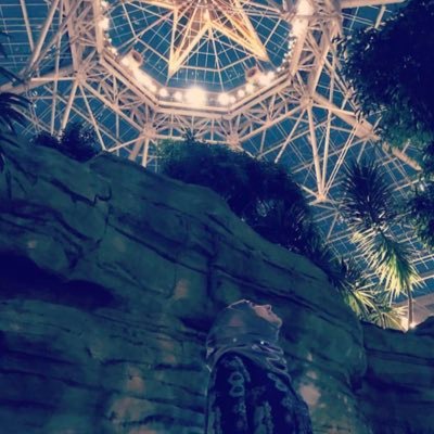 alhuseeini's profile picture. https://t.co/G4eMhFVn0W