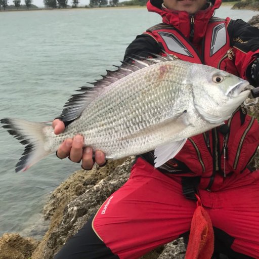 沖縄の釣り人です/釣り垢➕日常/ YouTubeにて釣り動画やってます!/ 最近魚拓制作に目覚めました!/沖縄の魚拓マスター目指してがんばります。/
DMより魚拓依頼受付してまーす🐟
インスタ👉https://t.co/hQ91launhy