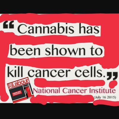 200+ medical uses 0 deaths, 24/10/15 @theNCI admitted #CANNABIS #KILLS #CANCER 
#MMJ patients are not criminals, 10yrs fighting for legalization UK. Left wing.