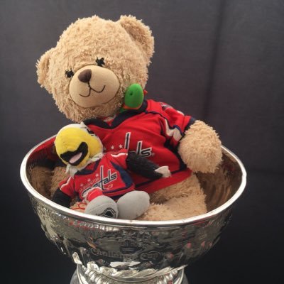 The Caps Bear