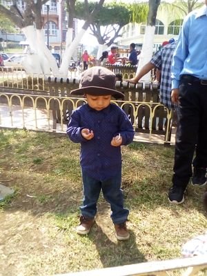 Aficionado a la carpintería, Jugador casual de WoW, Padre y Lector esporádico