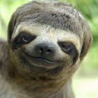 The Sloth (@gregoryfstarlin) 's Twitter Profile