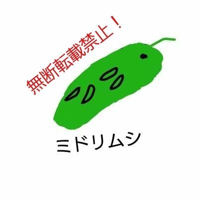 ミドリムシ 細胞分裂個体 Kimimidorimushi Twitter