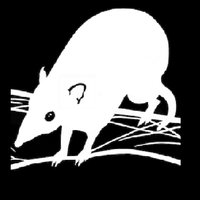 Trish Fleming (@western_web) 's Twitter Profile Photo