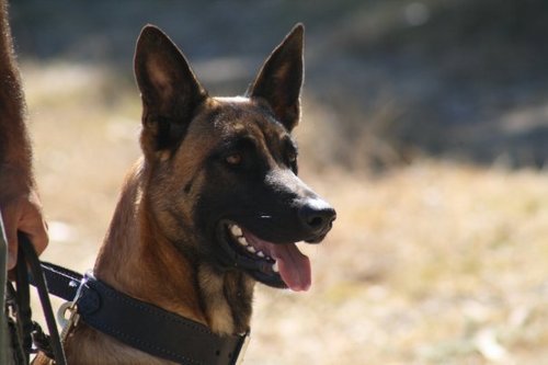 Tavor556's profile picture. 