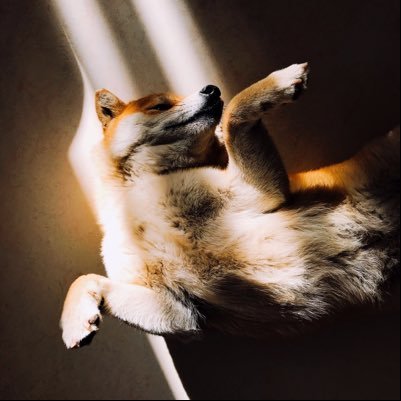 atao23albert's profile picture. 生活需要眼泪与荷尔蒙