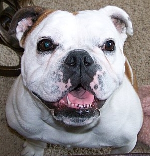 CBrooks26's profile picture. Twenty years from now you will be more disappointed by the things that you didn't do than by the ones you did do. So throw off the bowlines. Sail away.