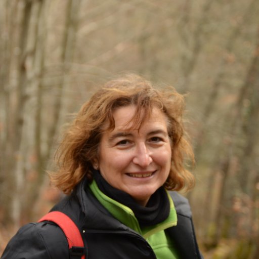 asaan40's profile picture. 