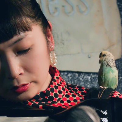 藤田まゆみさんのプロフィール画像
