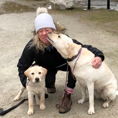 Former Trauma Dog Handler (Dandy) for Victim Services Toronto