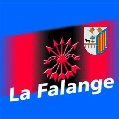 Twitter Oficial de la Falange en Salamanca ▪️📲 Whatsapp: 642 18 42 12▪️📩 E-mail: lafalangesalamanca@gmail.com ▪️ PATRIA, PAN Y JUSTICIA.