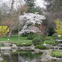 Sri🕊 (@srikataru) 's Twitter Profile