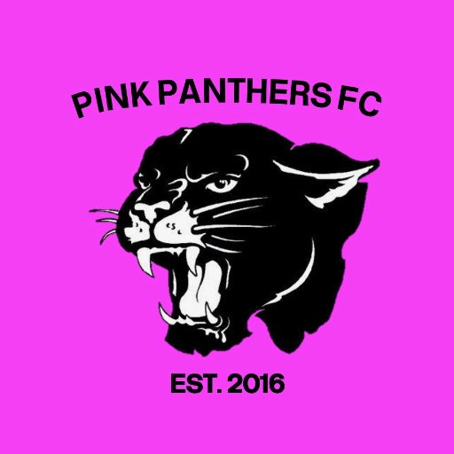 A team with a dream. A team with great passion. A team destined for greatness. We are Pink Panthers FC. #PPFC #UTPP