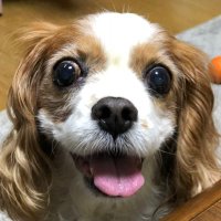 よしかず (@jam1024_a2) Twitter profile photo