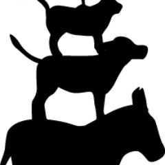 projectb_com's profile picture. 日本初、同時配信で音楽が楽しめる！
 LINE LIVE:projectB 
TwitCasting： projtectb
SHOWROOM： プロジェクトB
LIVE ME： projecyb
Youtube LIVE:projectb
 Instagram:prpjecyb
 イチナナ:projectb