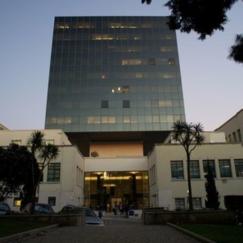 Department of Bioengineering at Instituto Superior Técnico