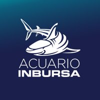Acuario Inbursa (@acuarioinbursa) 's Twitter Profile