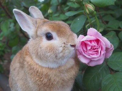 うしゃみさんのプロフィール画像