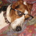 Pere (@triduria) Twitter profile photo Pere (@triduria) Twitter profile photo
