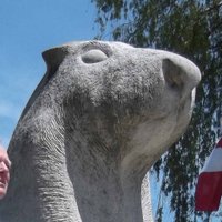 Paul Travis - @Paultravis01 Twitter Profile Photo