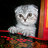 sergeySch's profile image