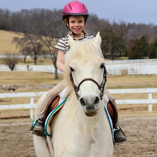 Two Brentwood/Franklin TN Locations We Strive To Teach Safe Horsemanship To Horse-Loving Children & Adults In A Safe, Healthy Environment