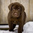 sun__house's profile image