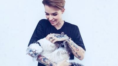 TKKTRthnMzbcqgJ's profile picture. 